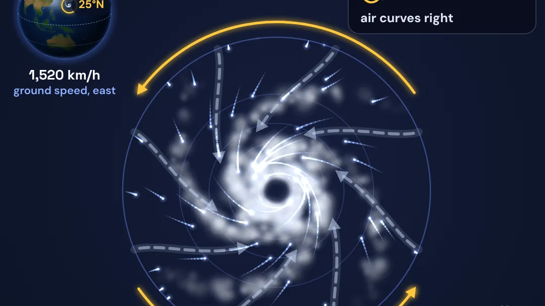 Why do hurricanes spin? project artwork