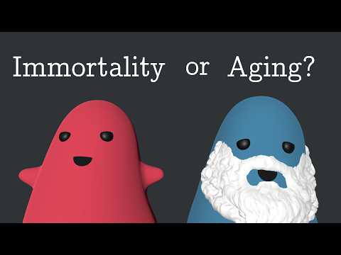 Simulating the Evolution of Aging project artwork