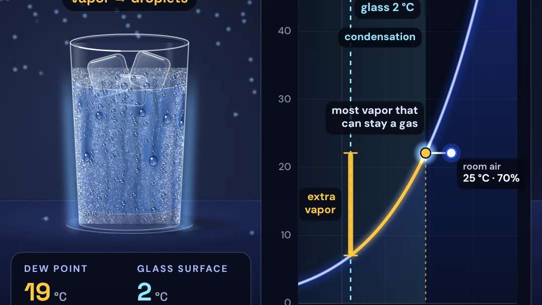 Why does a cold glass sweat? project artwork