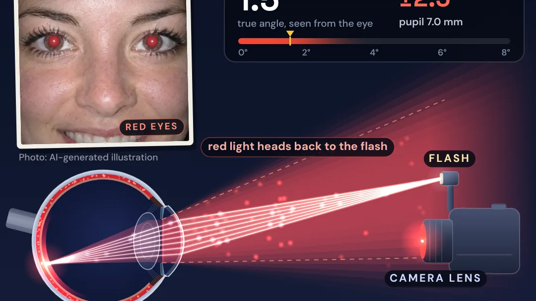 Why do eyes glow red in flash photos? project artwork