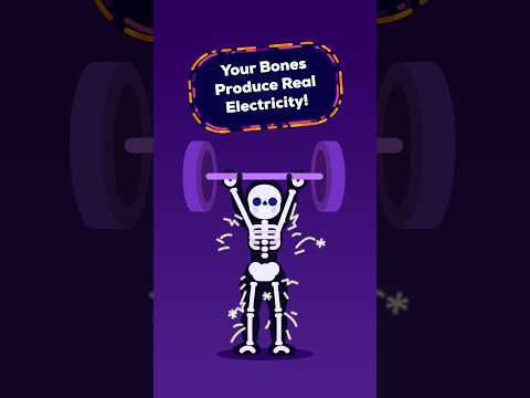 Your Skeleton Is Electric project artwork