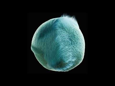 The Hairy Ball Theorem project artwork