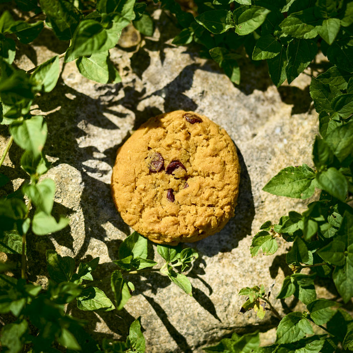 Cookie Clicker project artwork