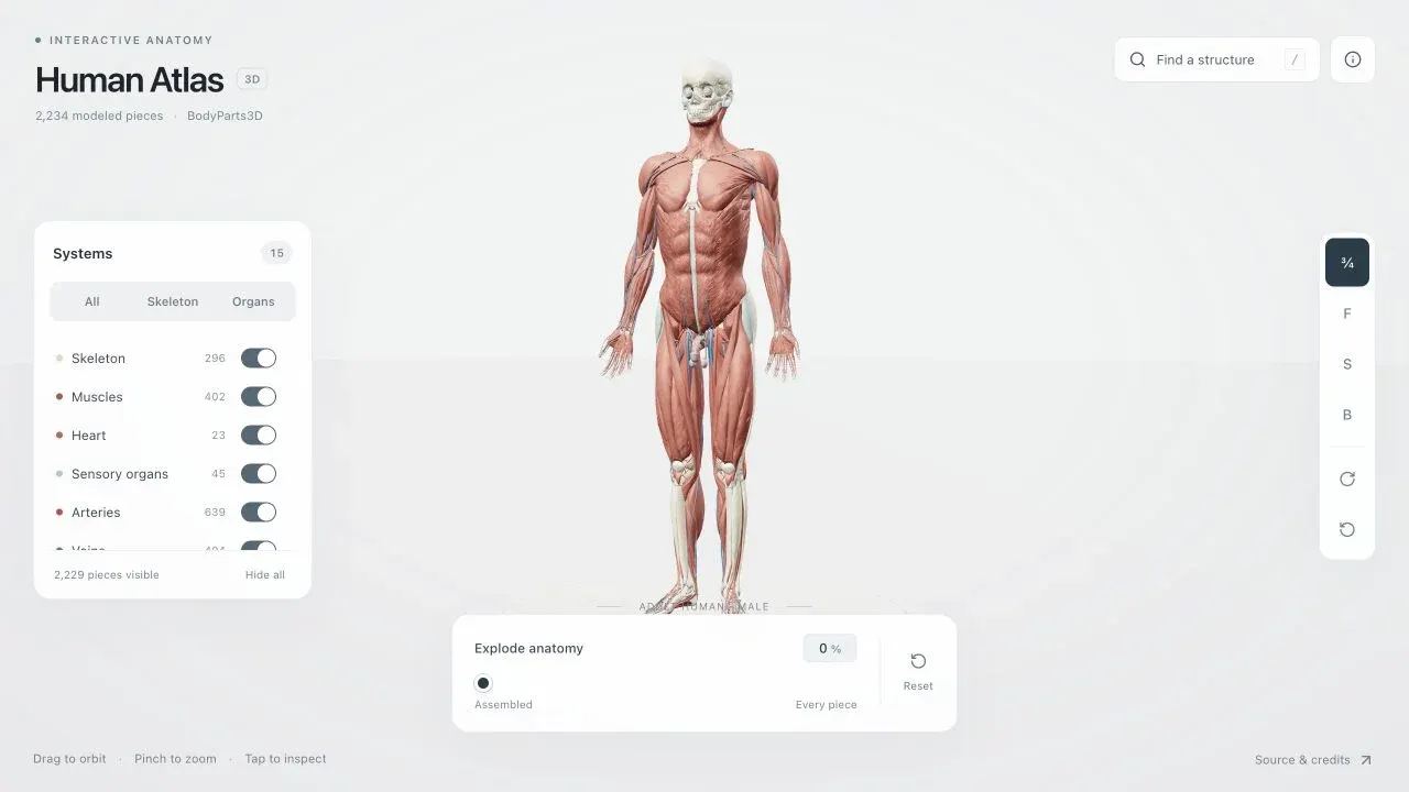 Human Atlas project artwork