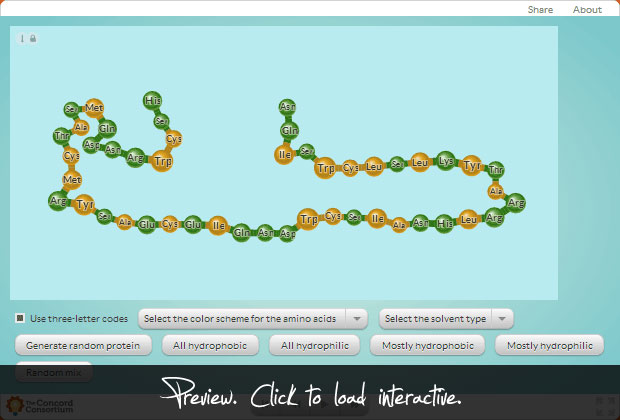 Protein Folding project artwork