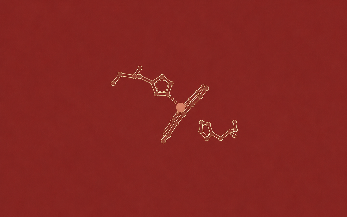 The Story of Hemoglobin project artwork