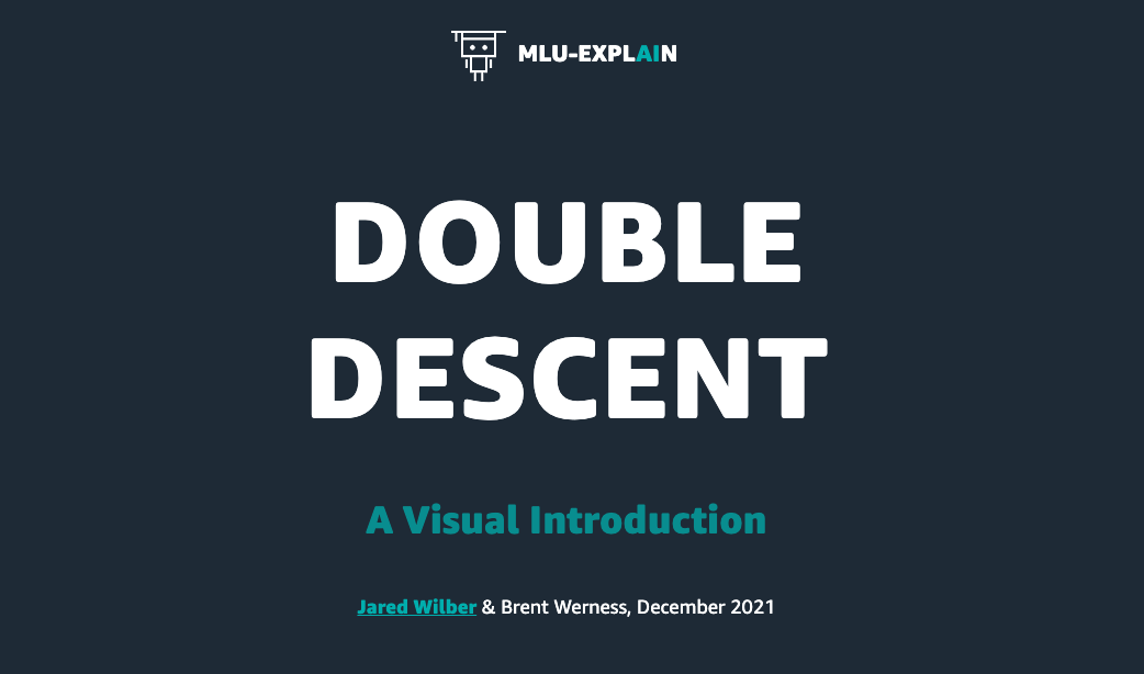 Double Descent project artwork