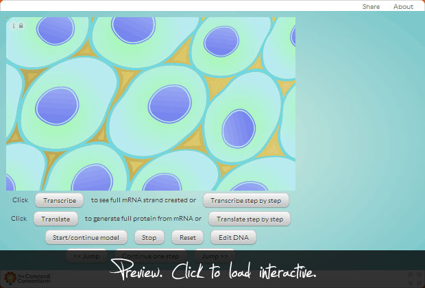 DNA to Protein project artwork